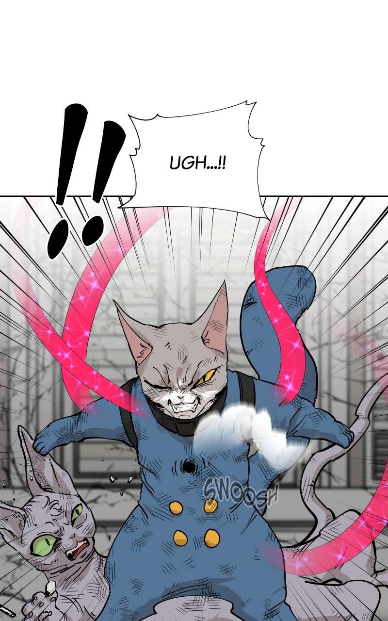 Read Meow Rangers Manga Online