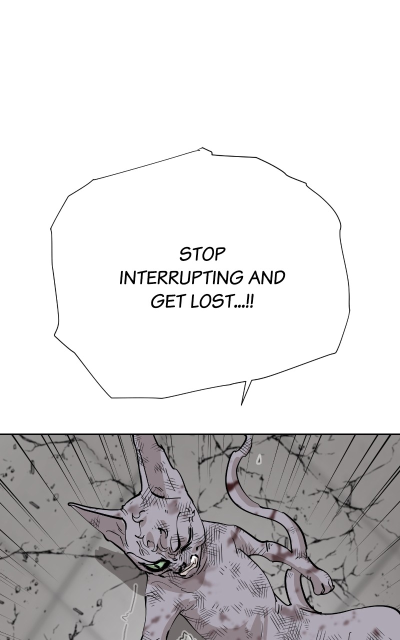 Read Meow Rangers Manga Online