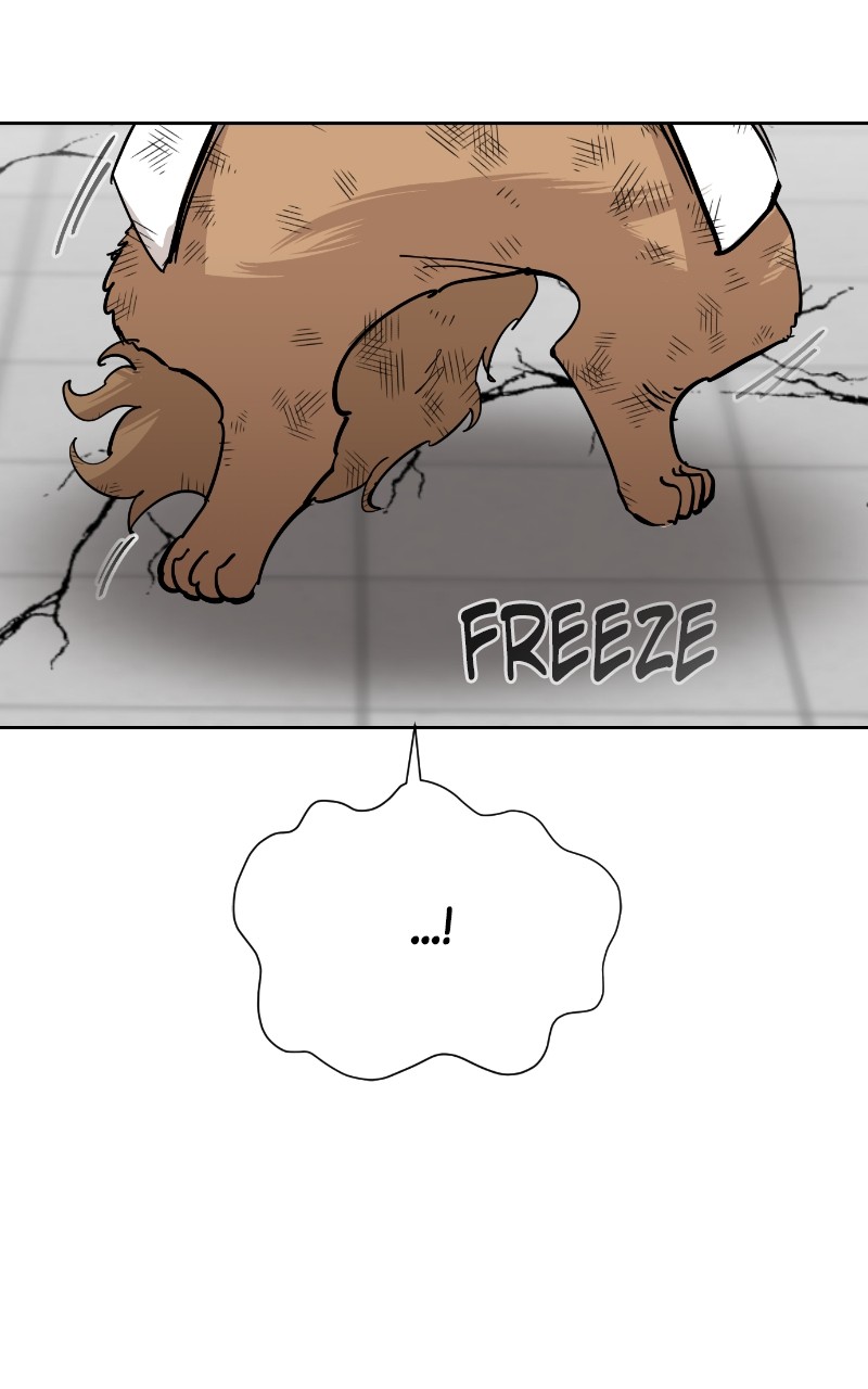 Read Meow Rangers Manga Online