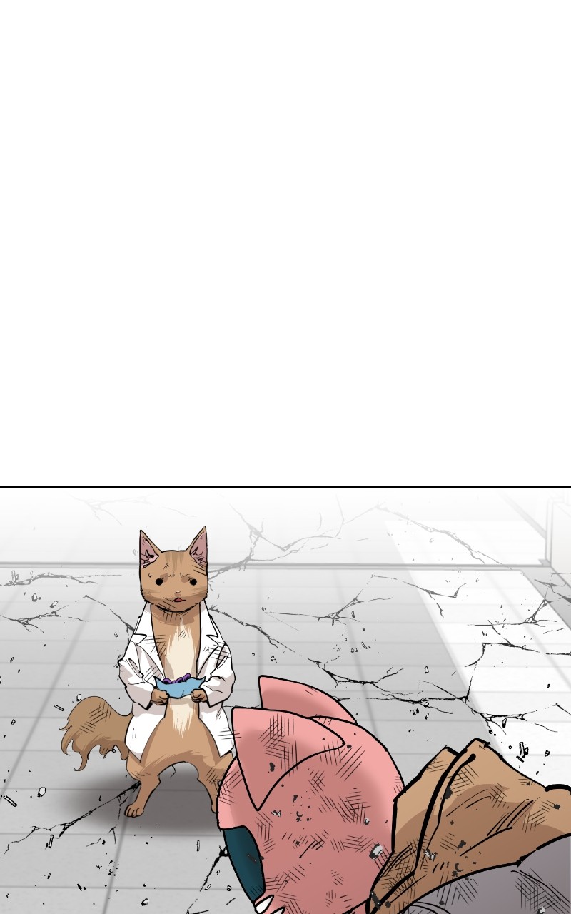 Read Meow Rangers Manga Online