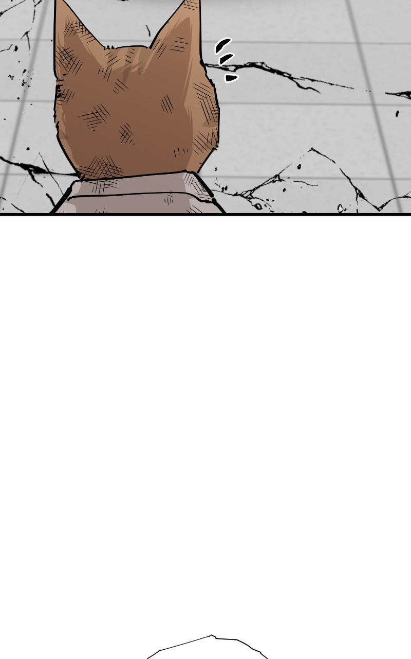 Read Meow Rangers Manga Online