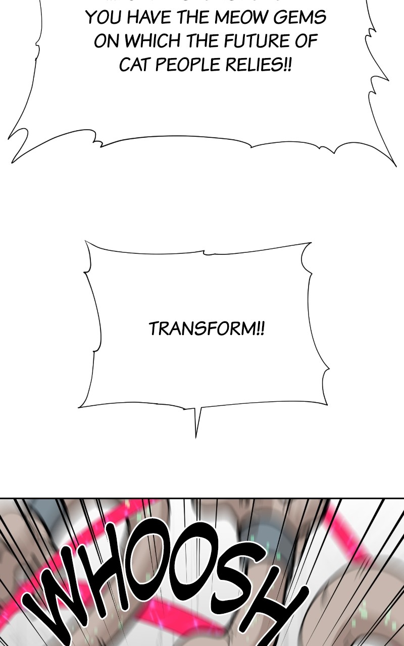 Read Meow Rangers Manga Online