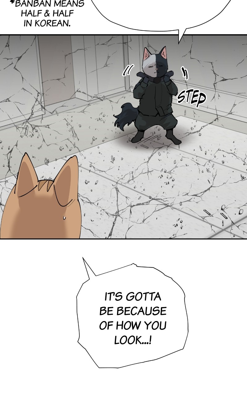 Read Meow Rangers Manga Online