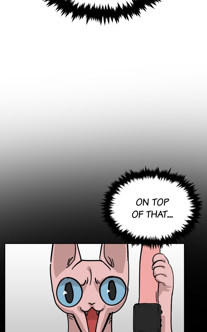 Read Meow Rangers Manga Online