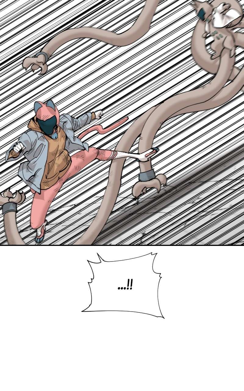 Read Meow Rangers Manga Online