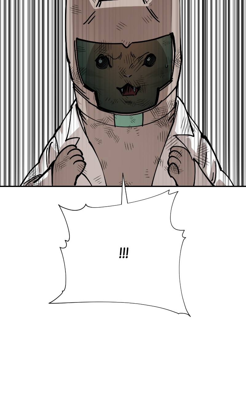 Read Meow Rangers Manga Online