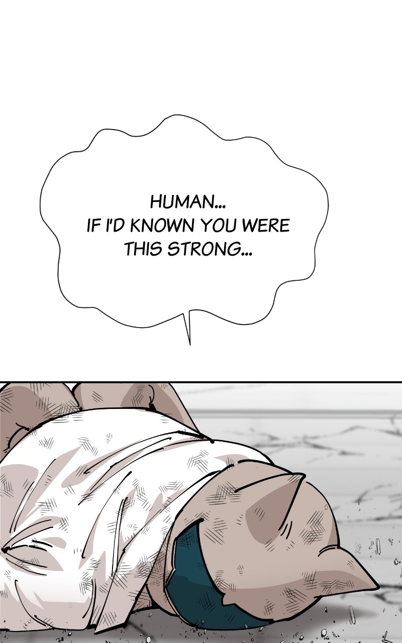 Read Meow Rangers Manga Online