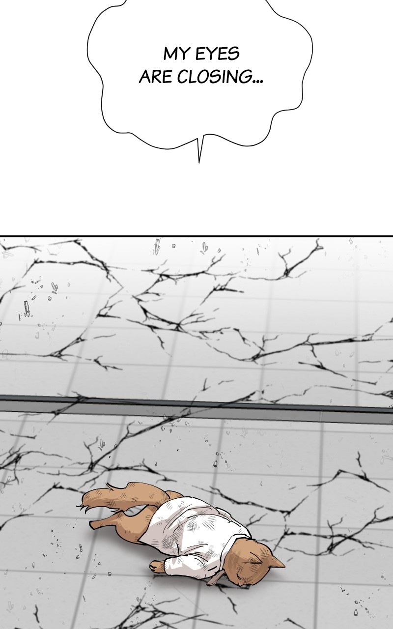 Read Meow Rangers Manga Online