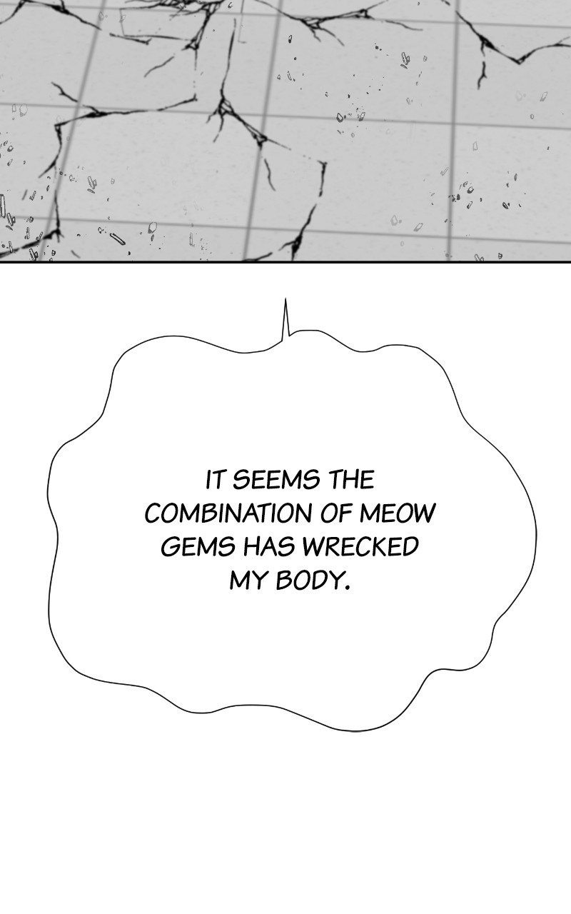 Read Meow Rangers Manga Online