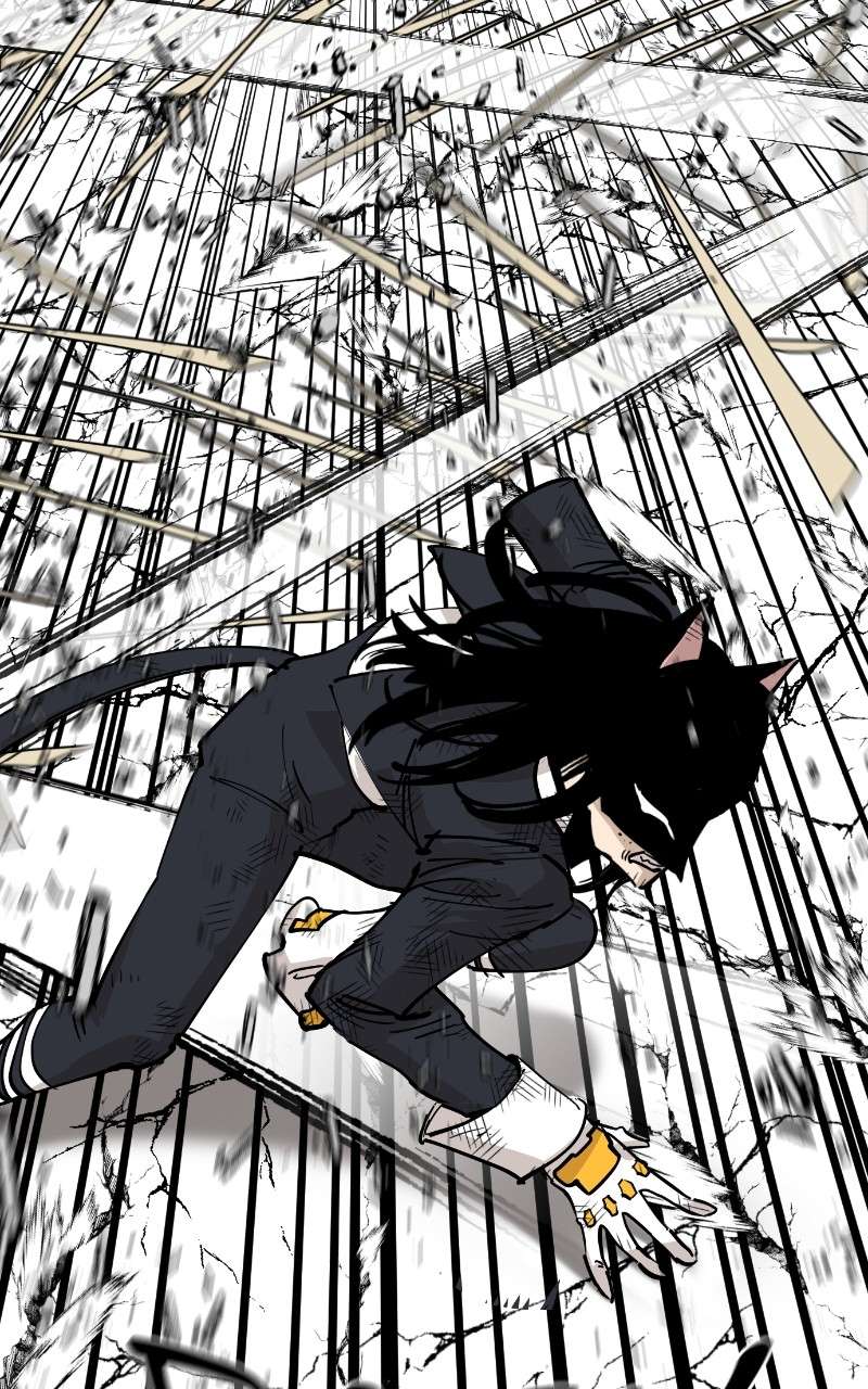 Read Meow Rangers Manga Online