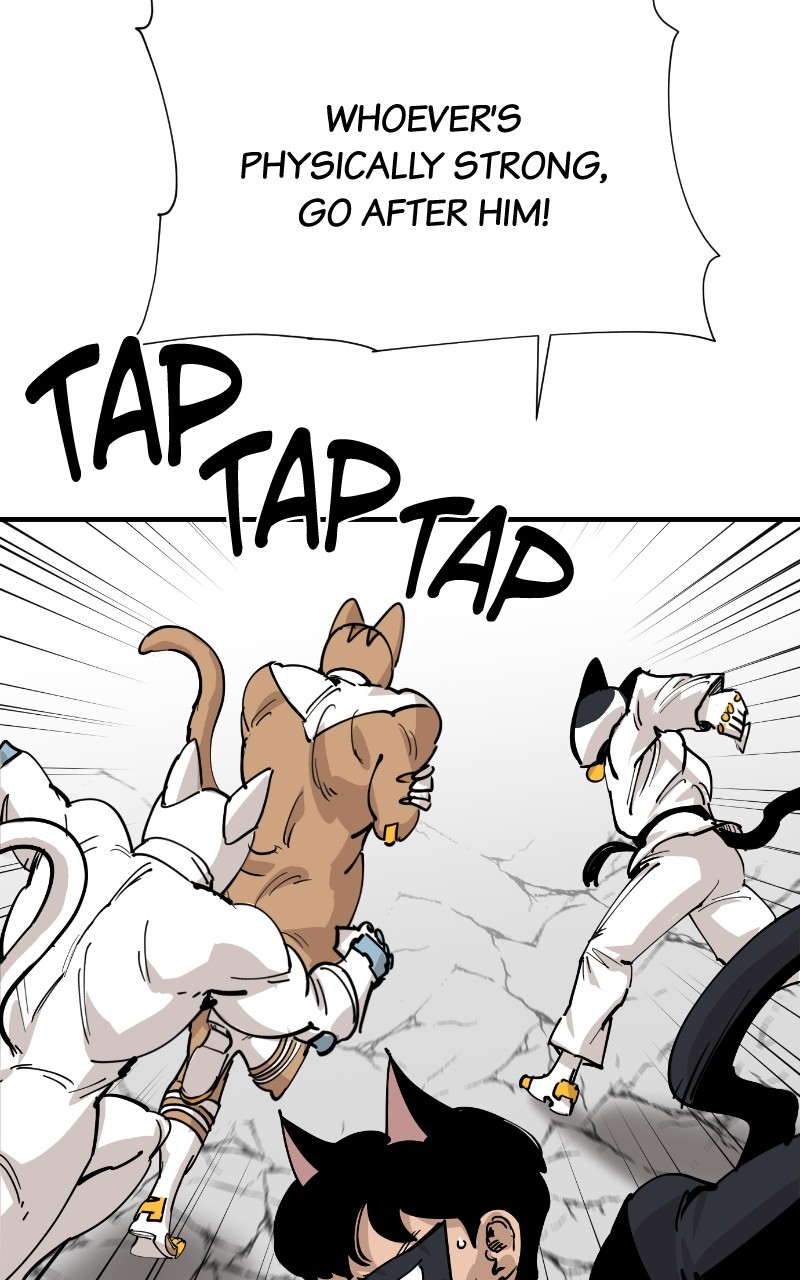 Read Meow Rangers Manga Online