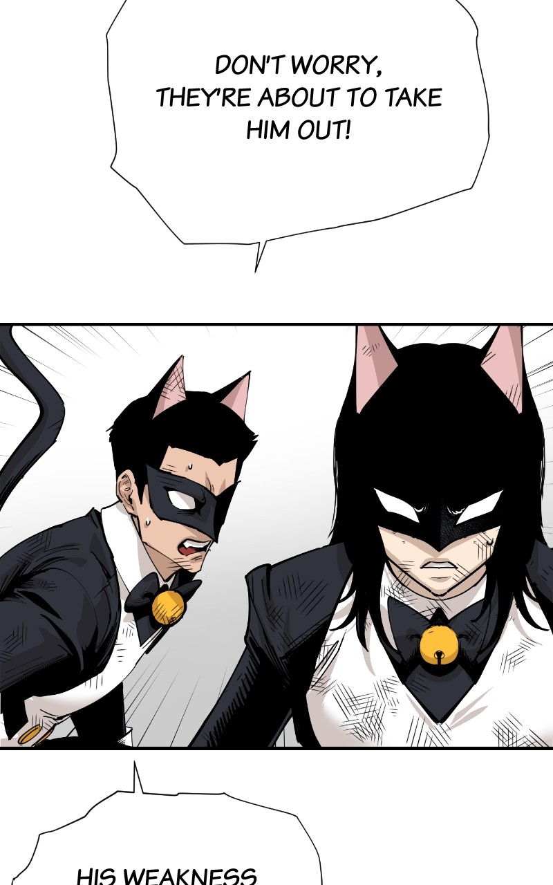 Read Meow Rangers Manga Online