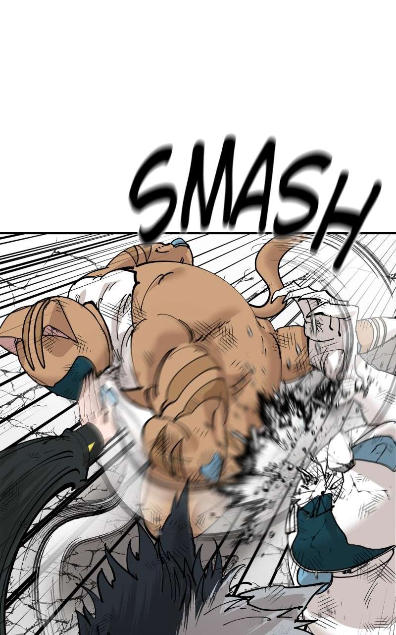 Read Meow Rangers Manga Online