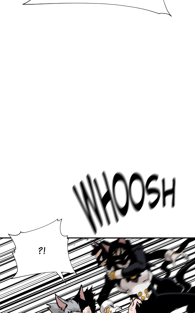 Read Meow Rangers Manga Online