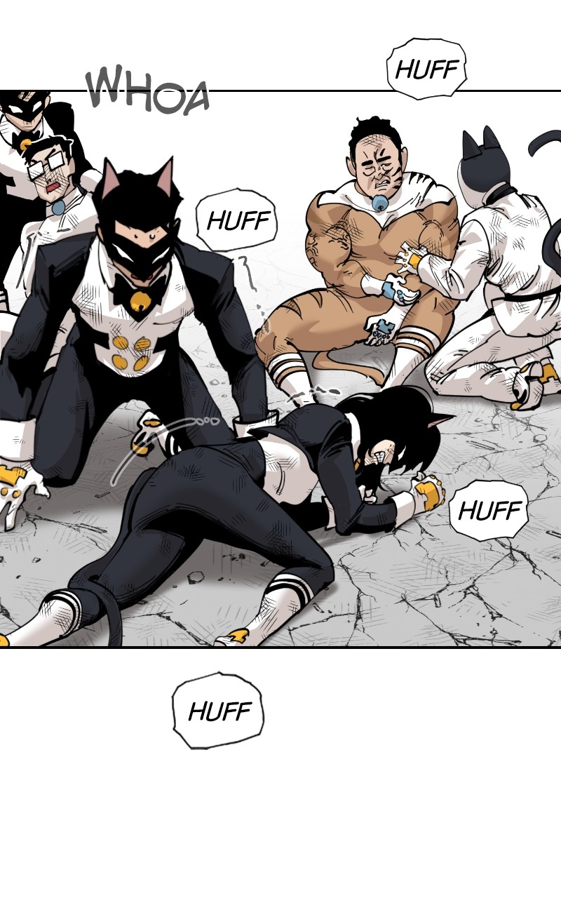 Read Meow Rangers Manga Online