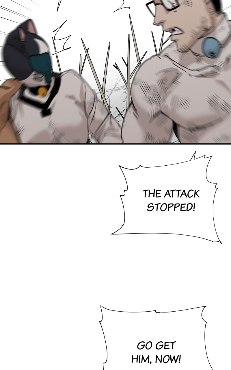 Read Meow Rangers Manga Online