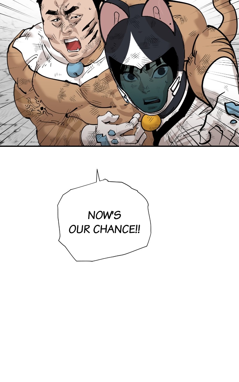 Read Meow Rangers Manga Online