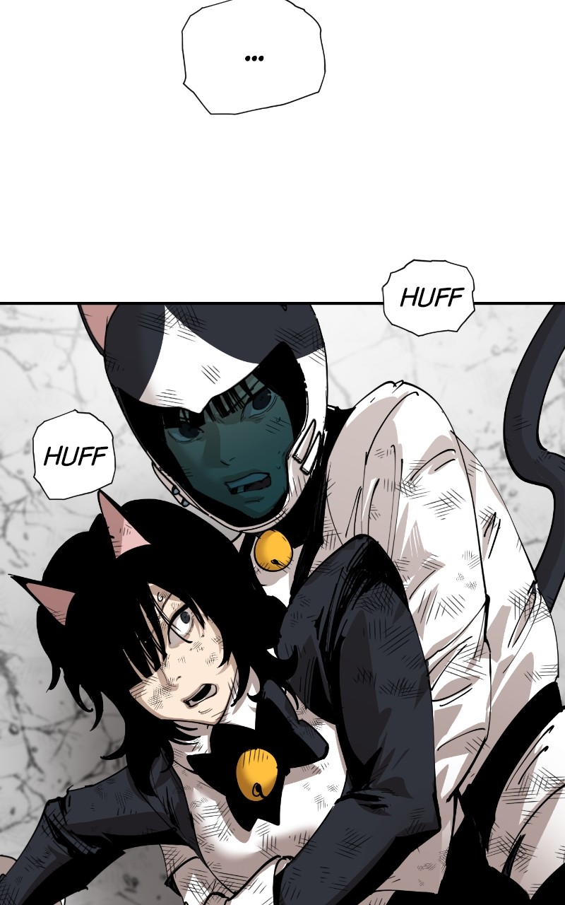 Read Meow Rangers Manga Online