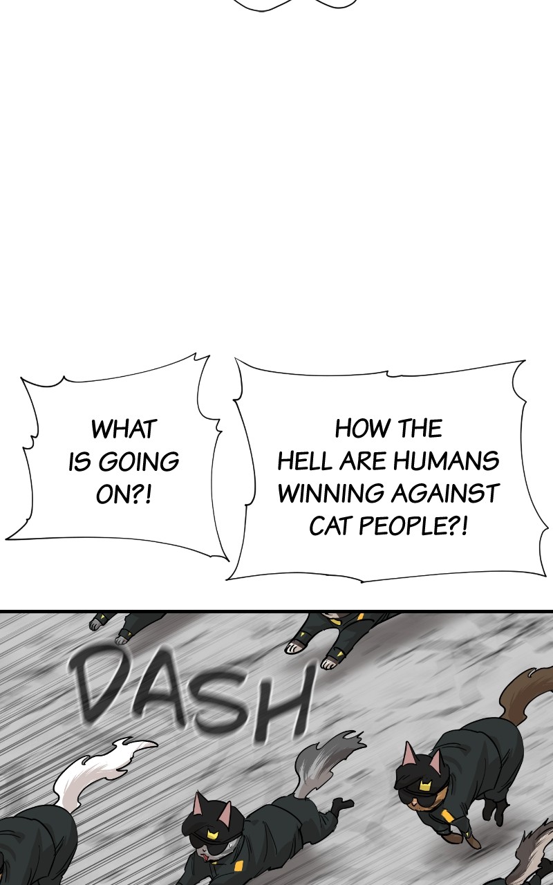 Read Meow Rangers Manga Online