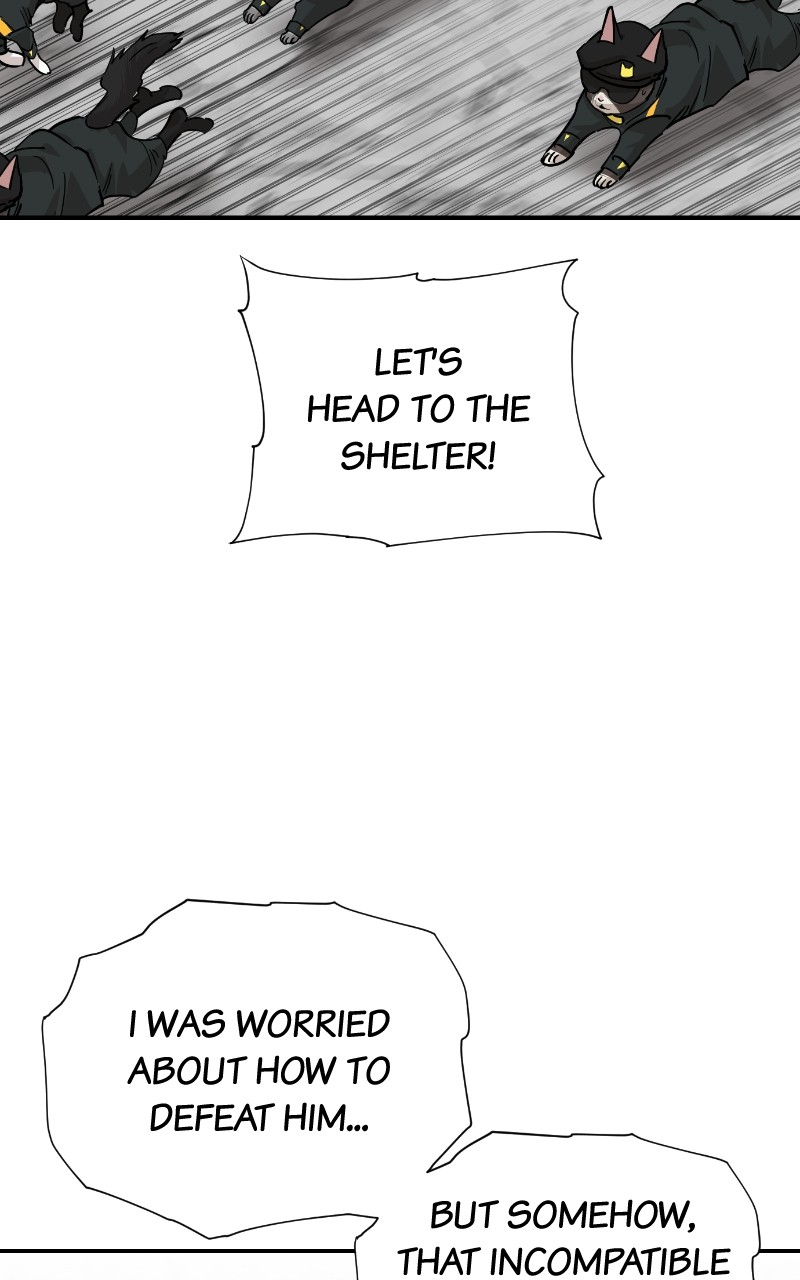 Read Meow Rangers Manga Online