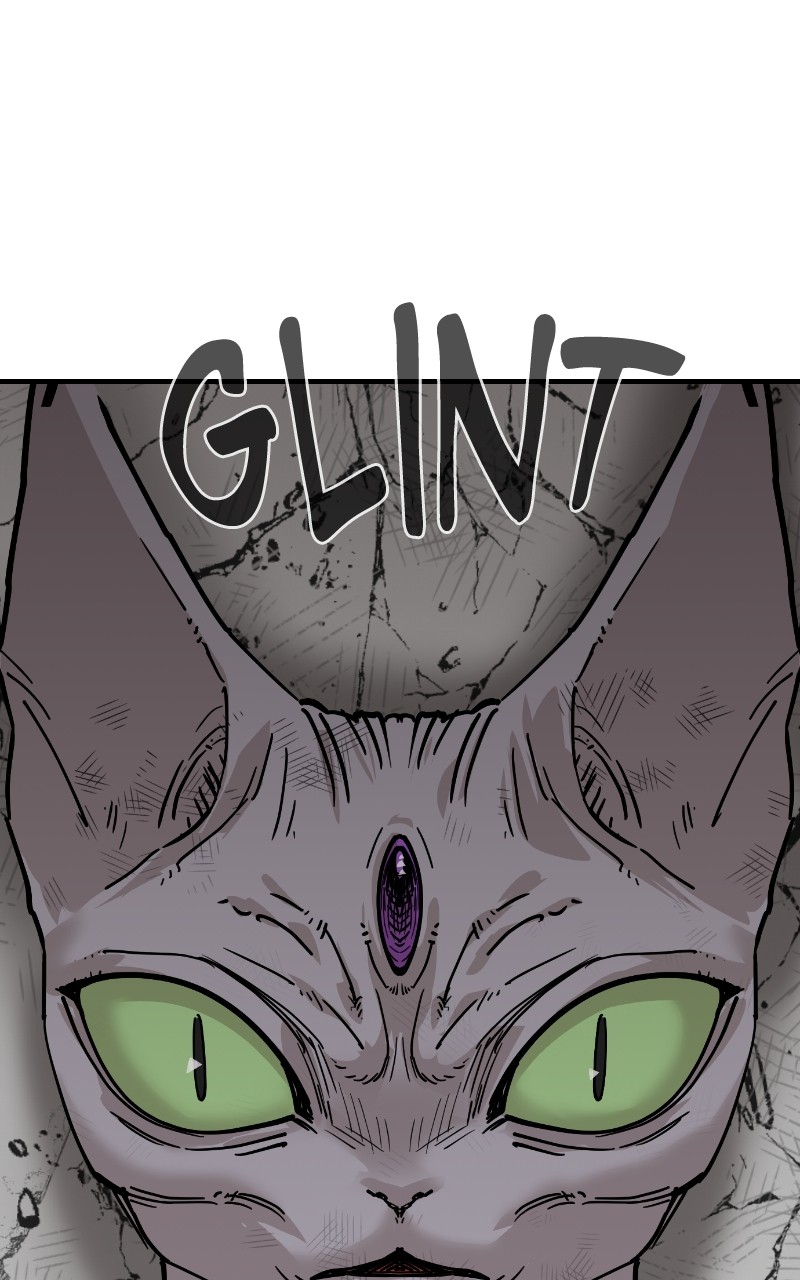 Read Meow Rangers Manga Online