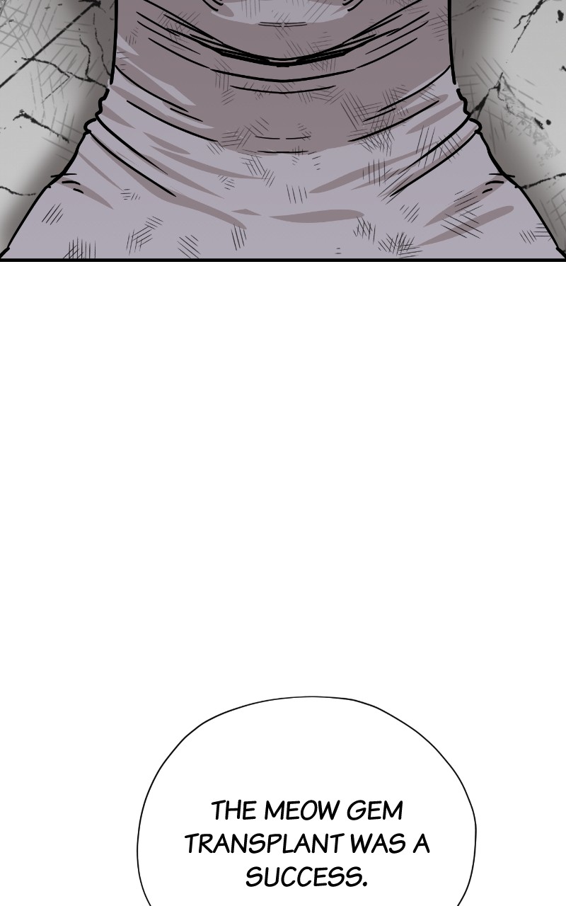 Read Meow Rangers Manga Online