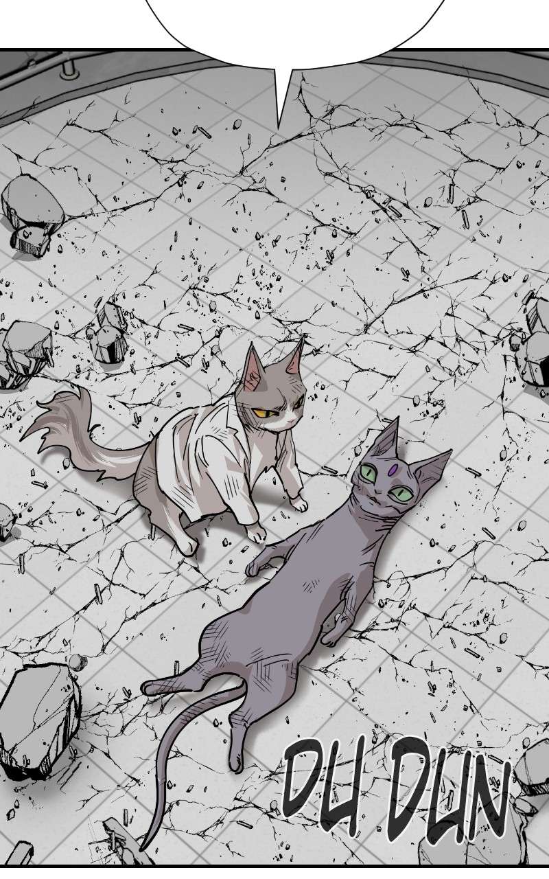 Read Meow Rangers Manga Online