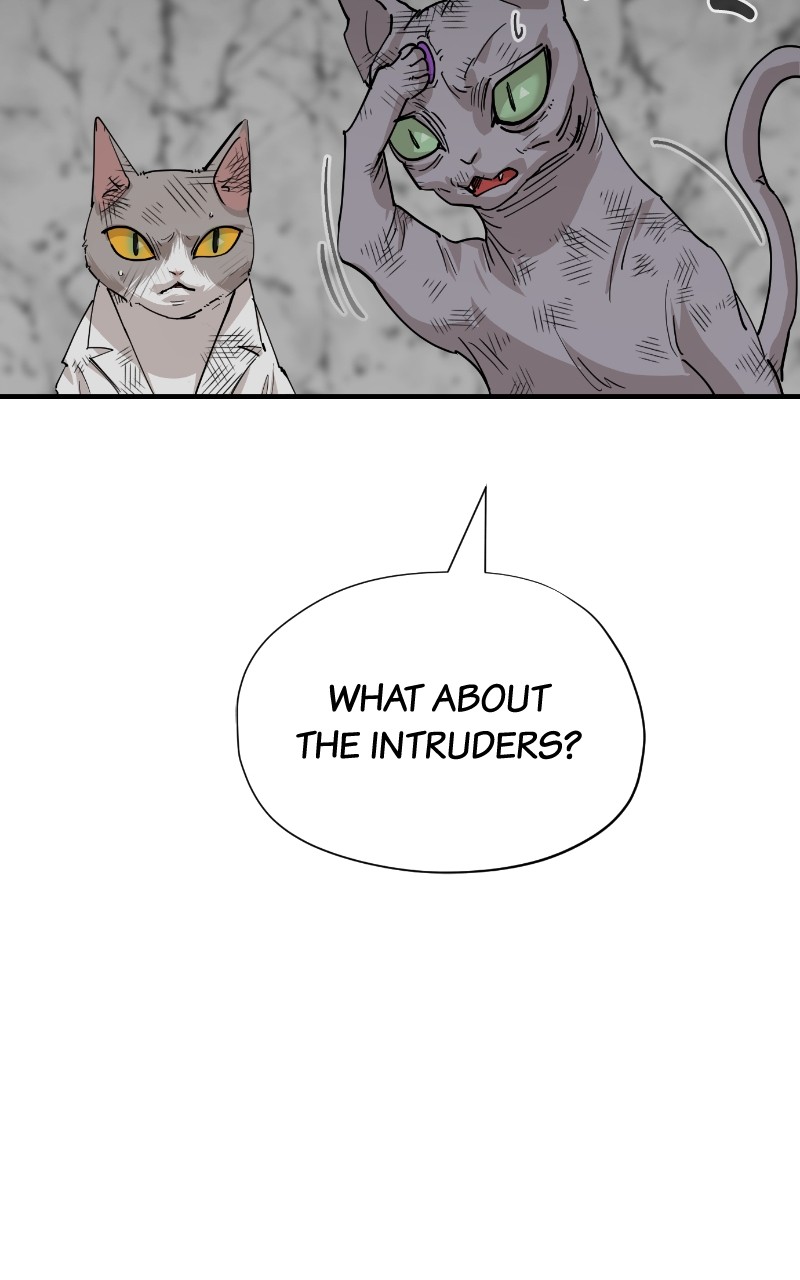 Read Meow Rangers Manga Online