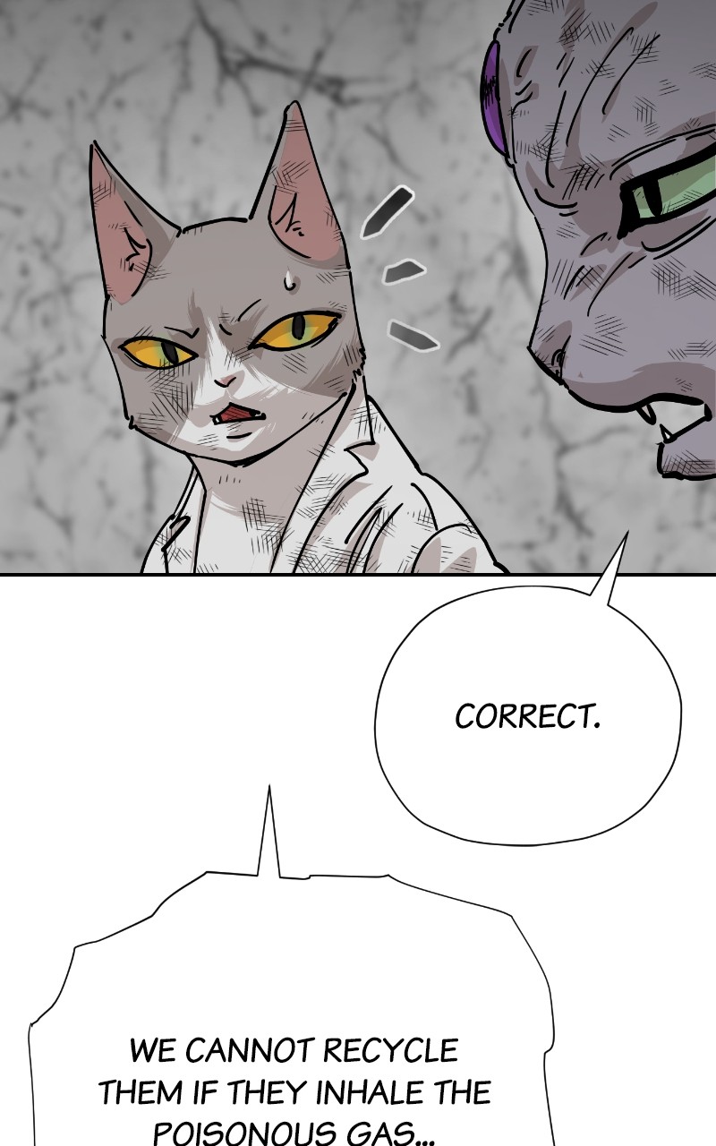 Read Meow Rangers Manga Online