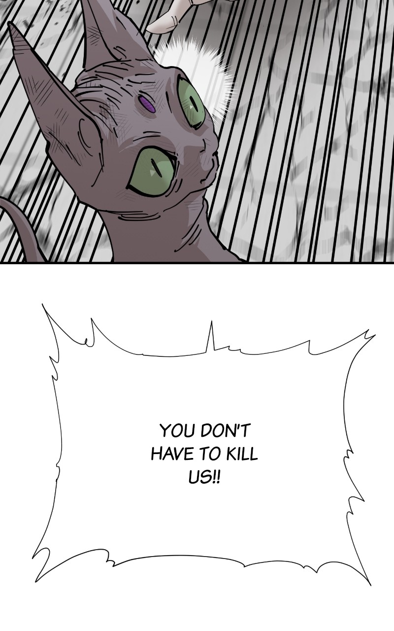 Read Meow Rangers Manga Online