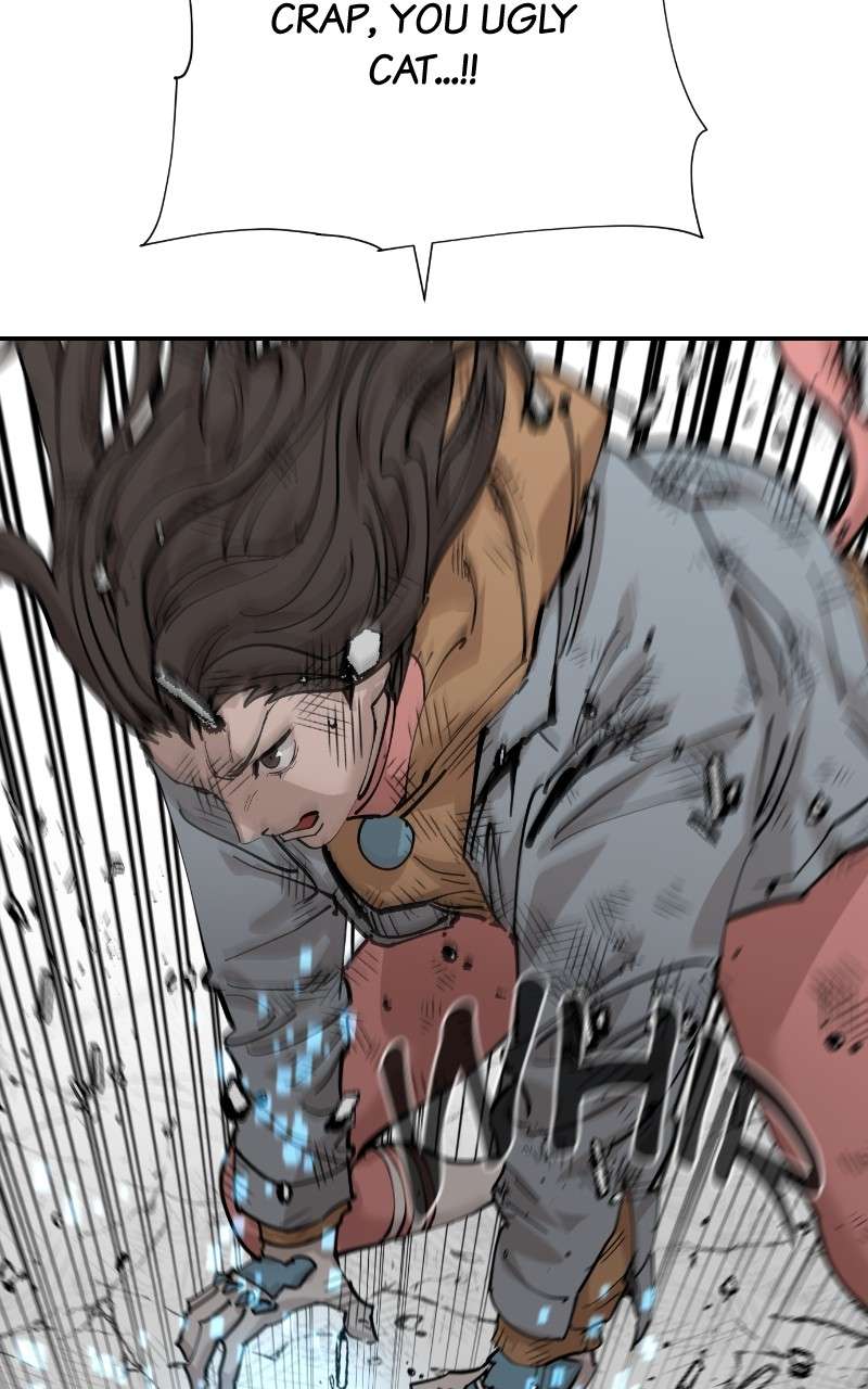 Read Meow Rangers Manga Online