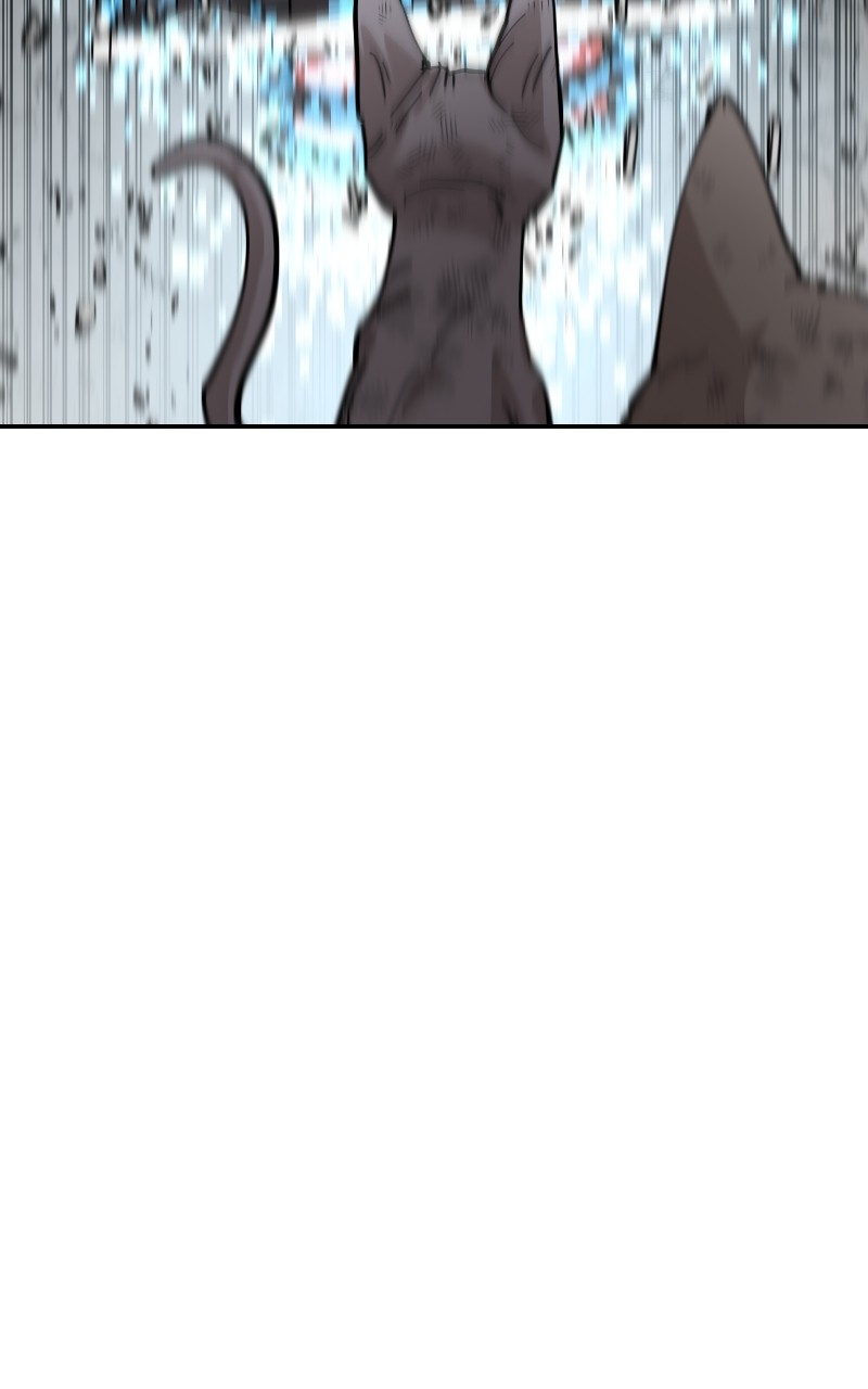 Read Meow Rangers Manga Online