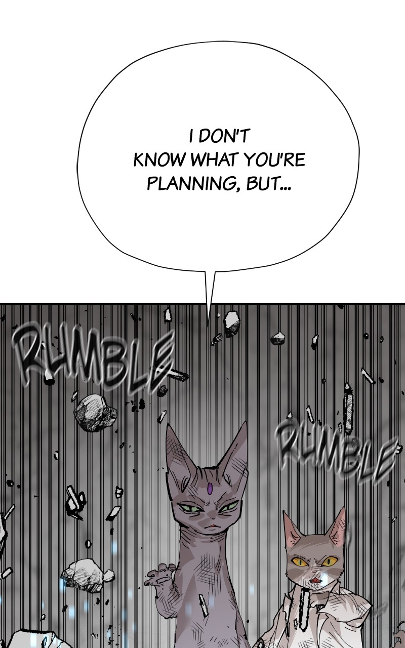 Read Meow Rangers Manga Online