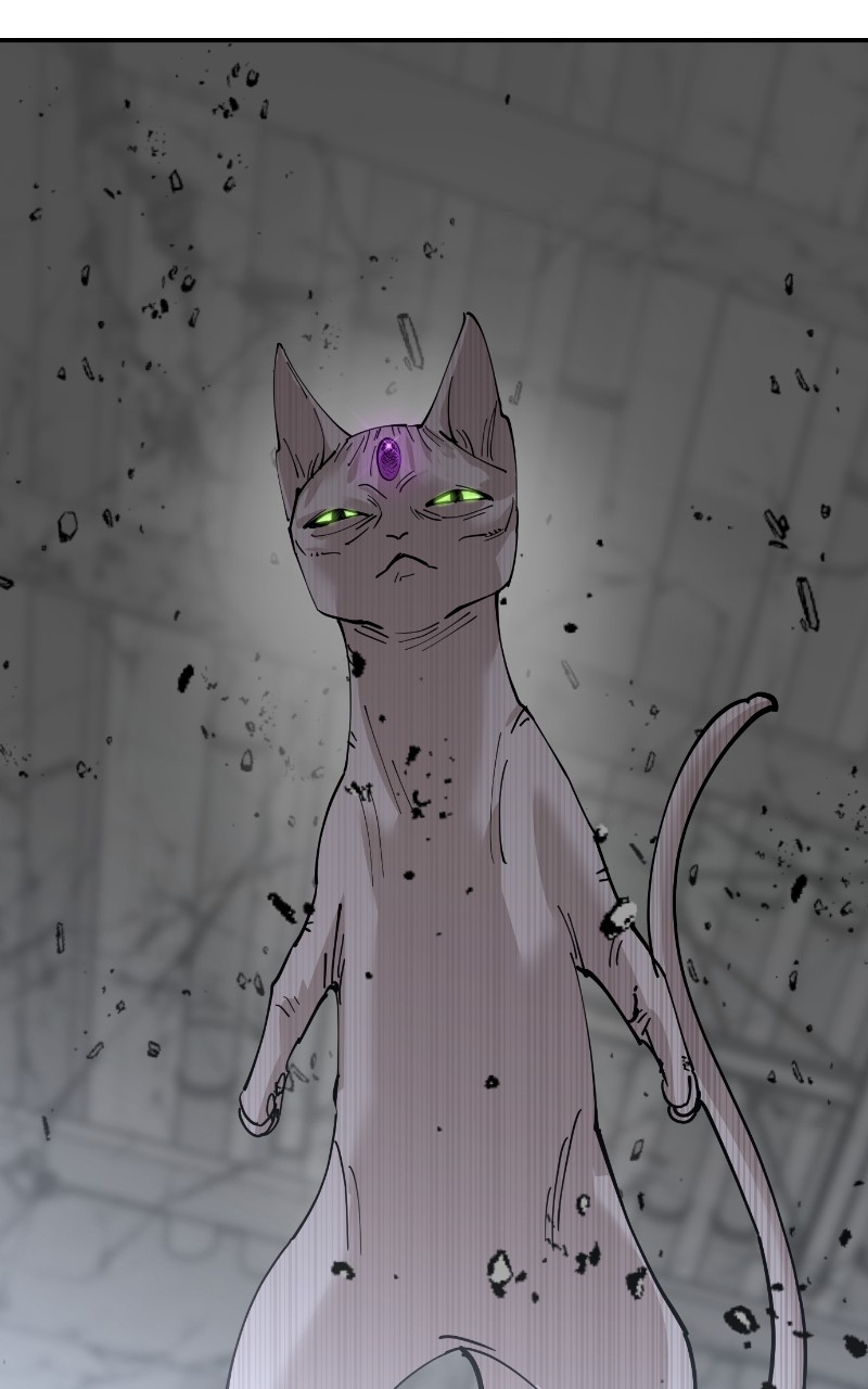 Read Meow Rangers Manga Online