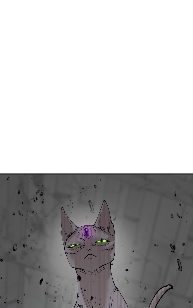 Read Meow Rangers Manga Online