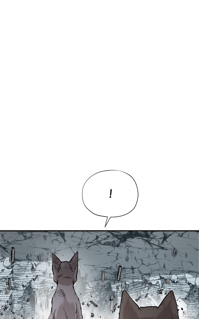 Read Meow Rangers Manga Online