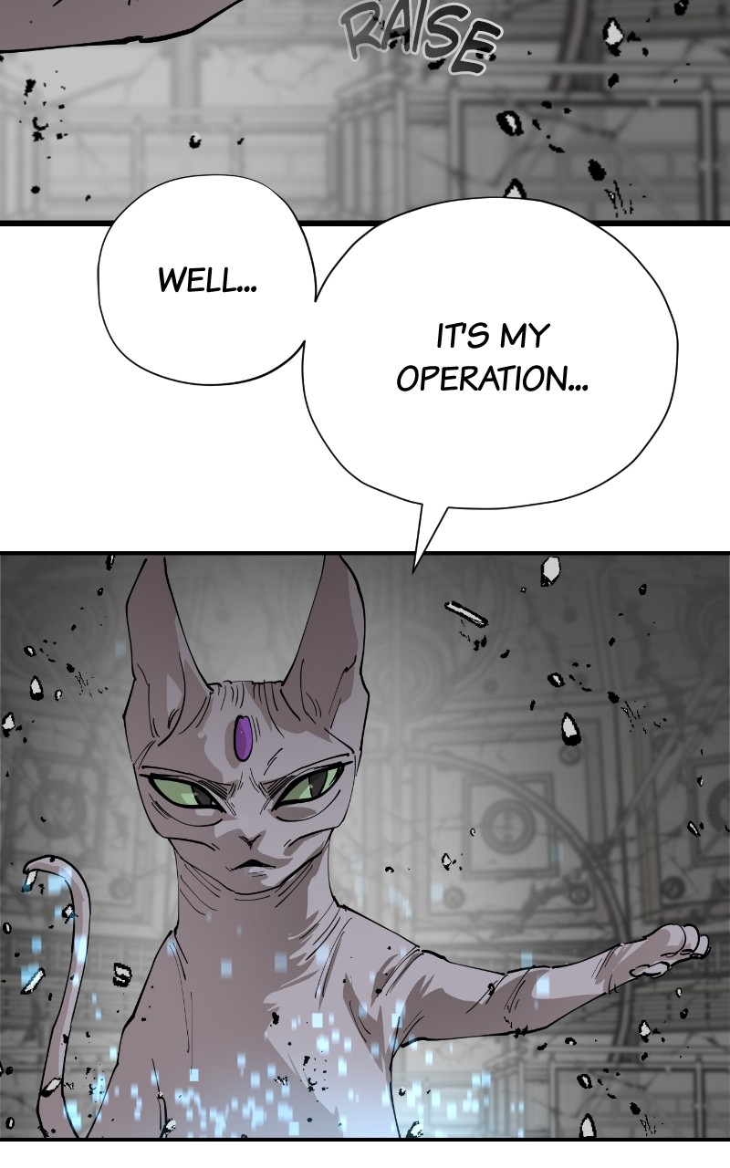 Read Meow Rangers Manga Online