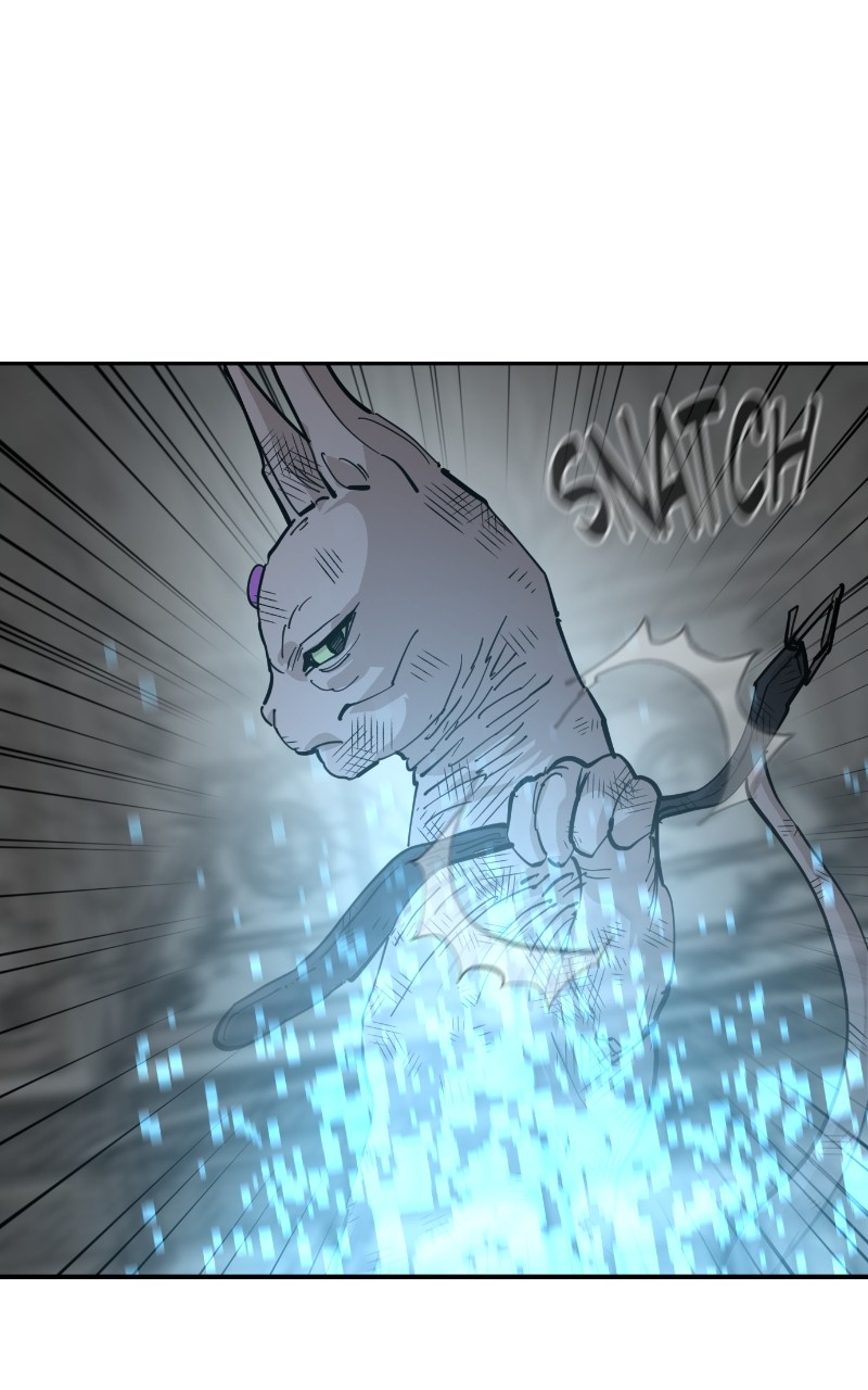 Read Meow Rangers Manga Online