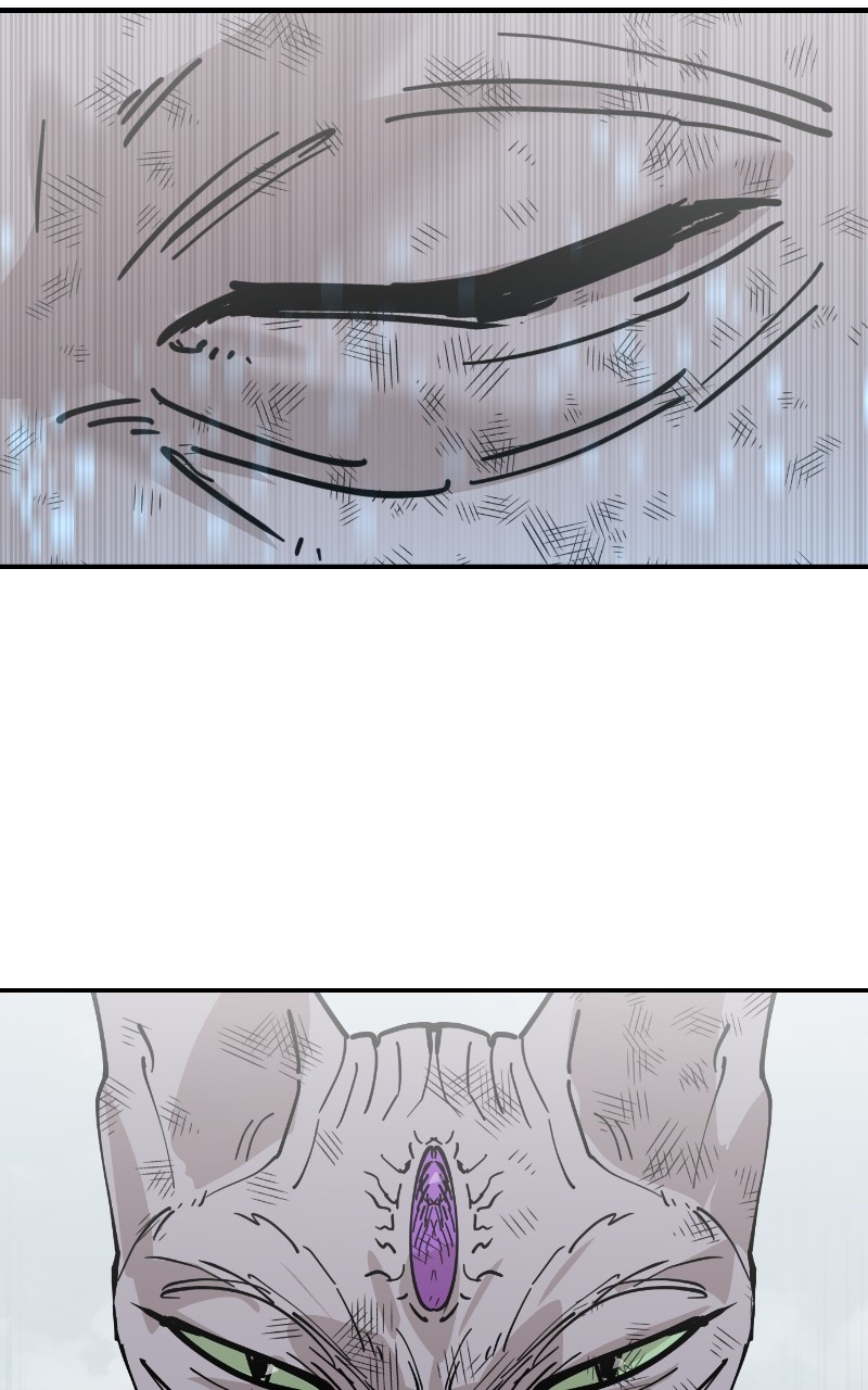 Read Meow Rangers Manga Online