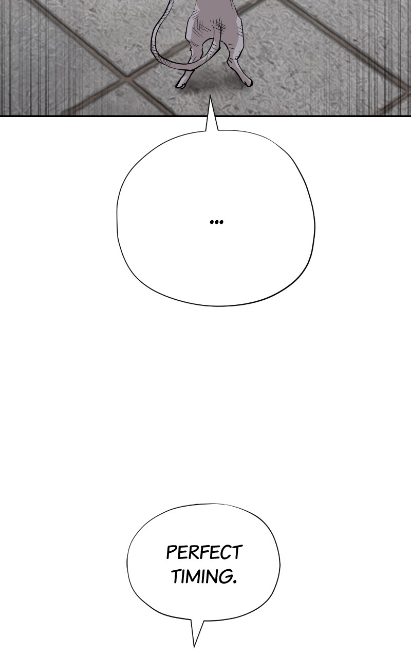 Read Meow Rangers Manga Online