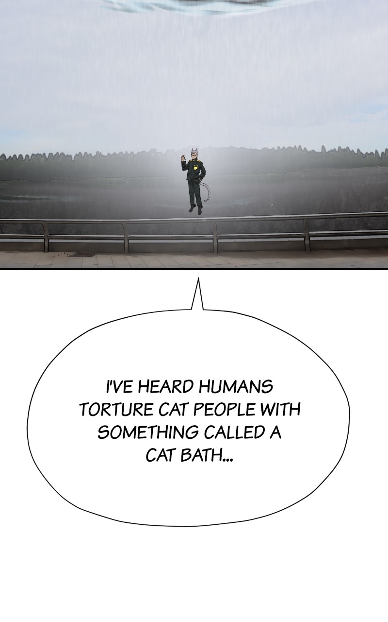 Read Meow Rangers Manga Online