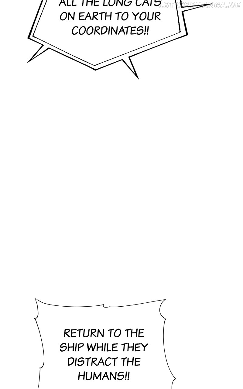 Read Meow Rangers Manga Online