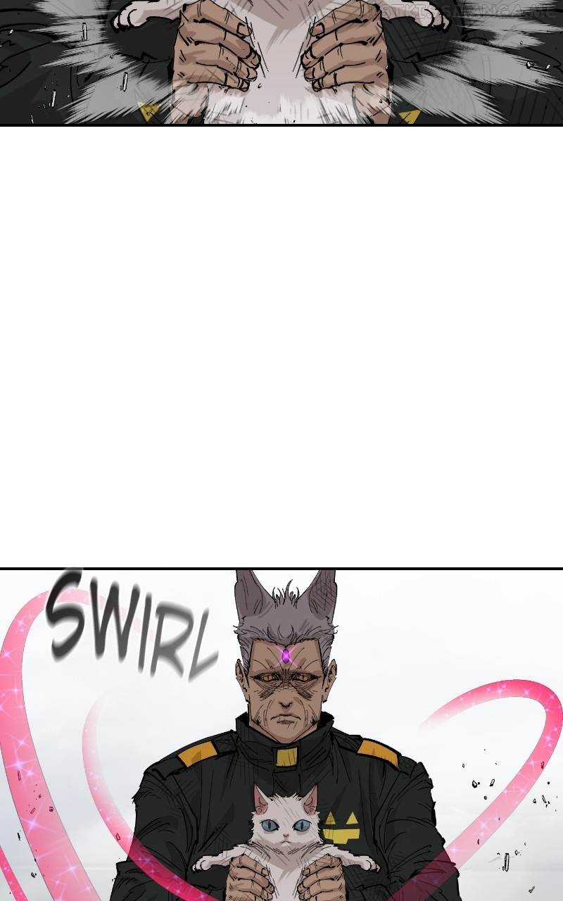 Read Meow Rangers Manga Online