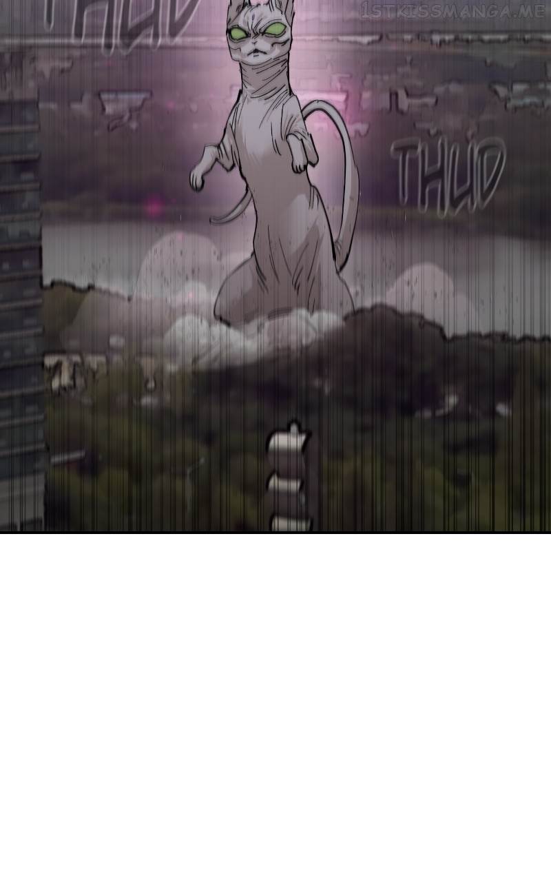 Read Meow Rangers Manga Online