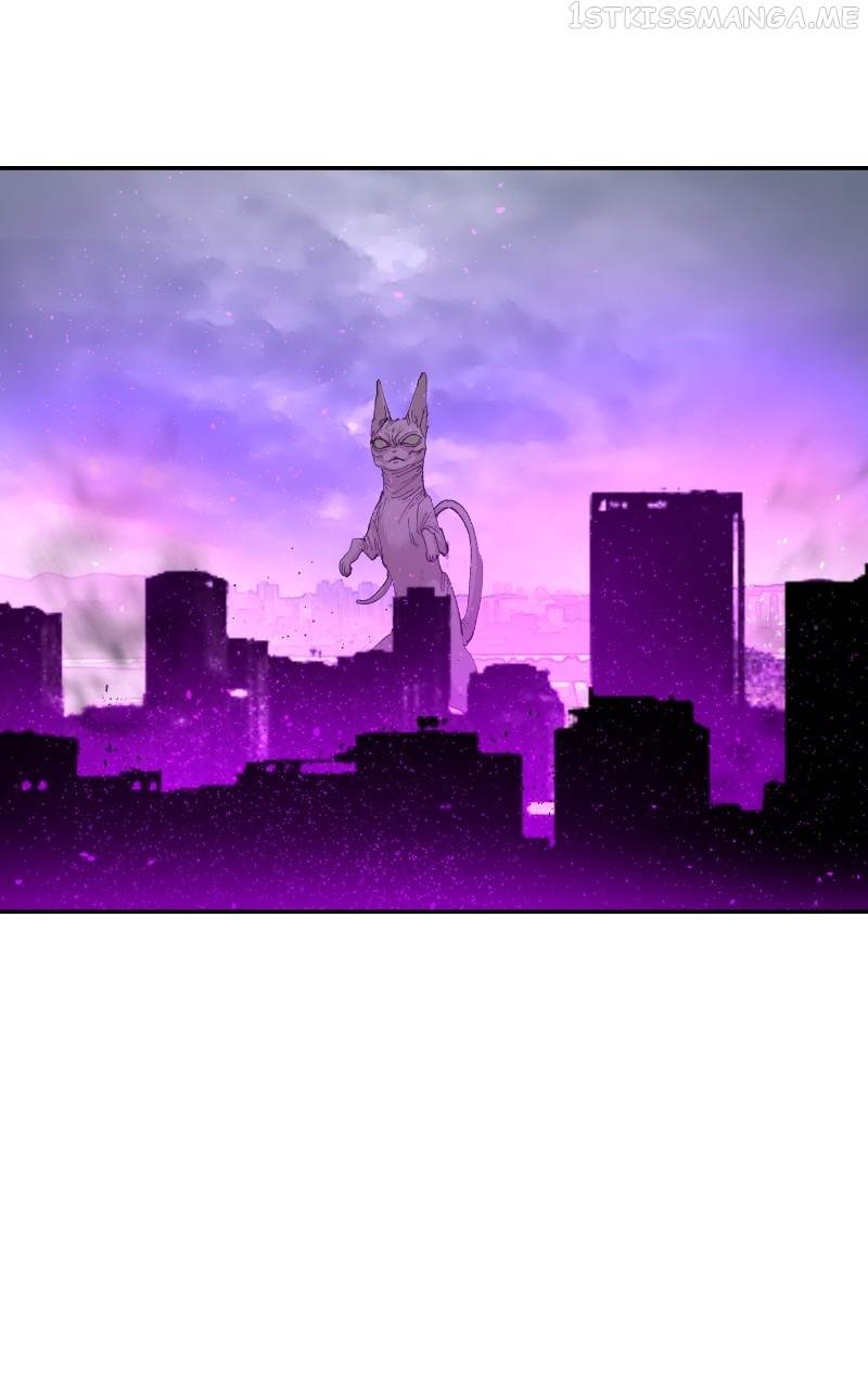 Read Meow Rangers Manga Online