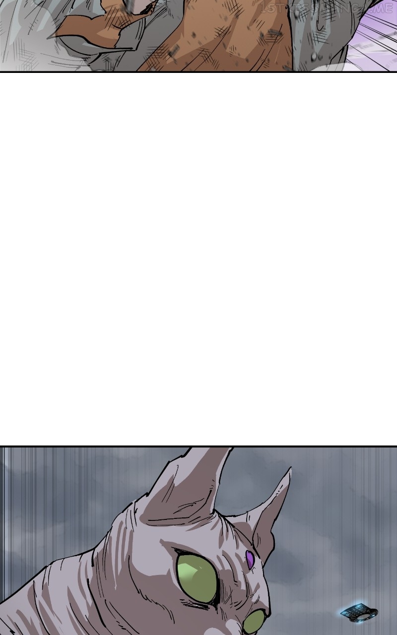 Read Meow Rangers Manga Online