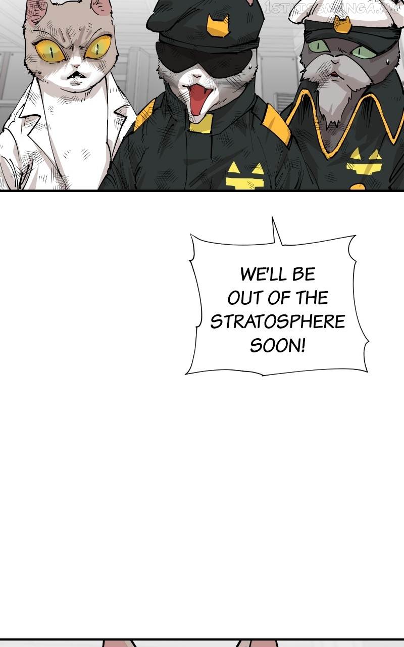 Read Meow Rangers Manga Online