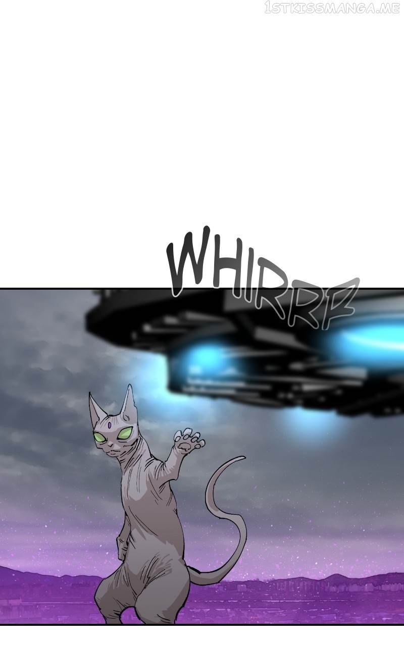 Read Meow Rangers Manga Online