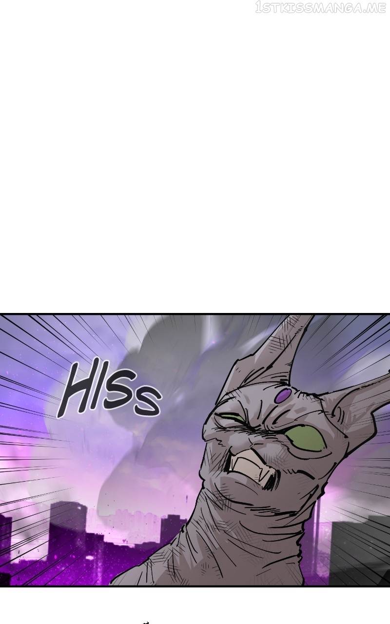 Read Meow Rangers Manga Online