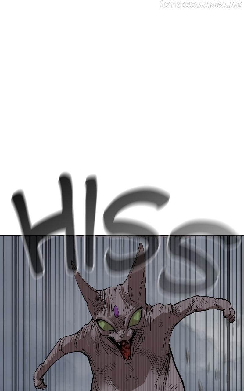 Read Meow Rangers Manga Online